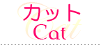 カット-Cat-